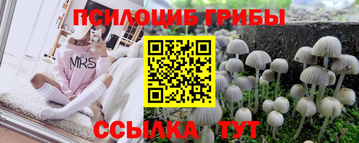 магазин продажи   Вход с VPN  Калач-на-Дону  Псилоцибиновые грибы MAGIC MUSHROOMS 