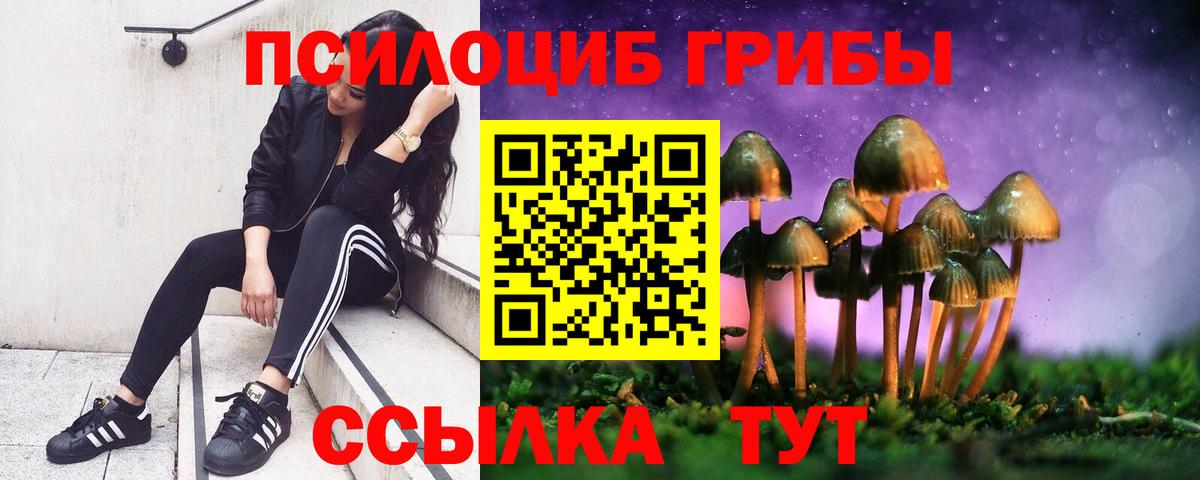 Псилоцибиновые грибы ЛСД Калач-на-Дону